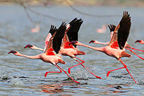 ����������