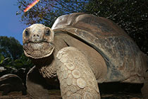 �ǲ��������