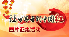 �����翴���й���