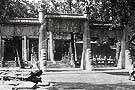 1907Ŀ