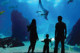 Sea World in the romantic adventure