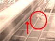 𳵲˲