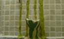 �ؿ�ζճ��������T IS FOR TOILET