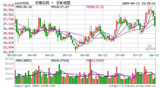 image_sinajs_cn_newchart_daily_n_sz000538_022821.gif