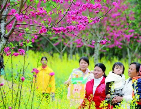 赏花旅游节相约花花大世界 钟欣桐、谈莉娜献唱