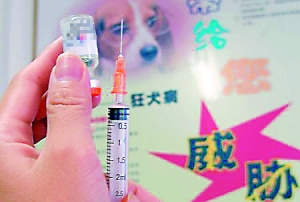 一旦狂犬疫苗失效，造成的后果很可能不堪设想。(资料图片)