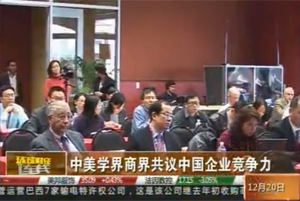 央视财经频道环球财经连线视频报道