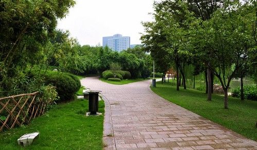 虹桥花园全景 虹桥花园全景
