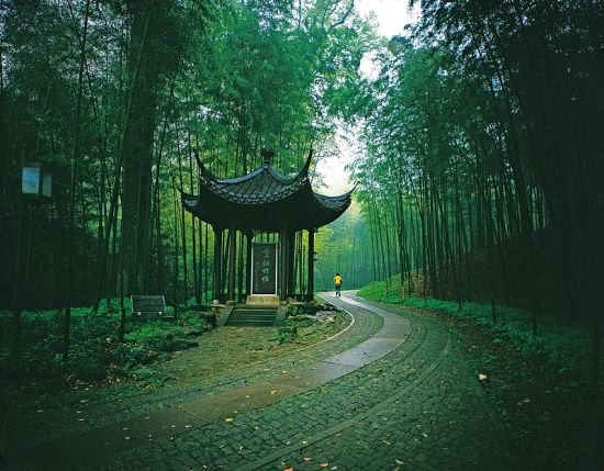 云栖竹径 孙小明摄