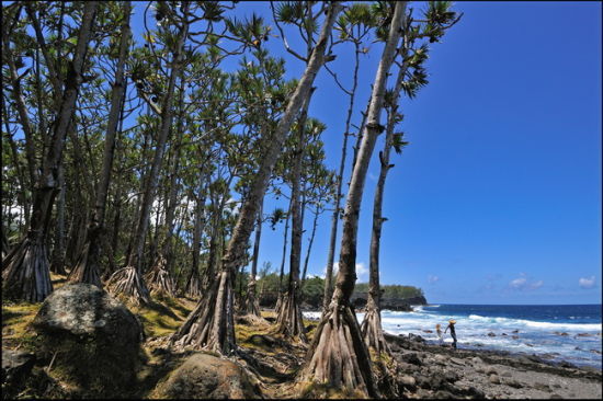 海边漫步 海边漫步