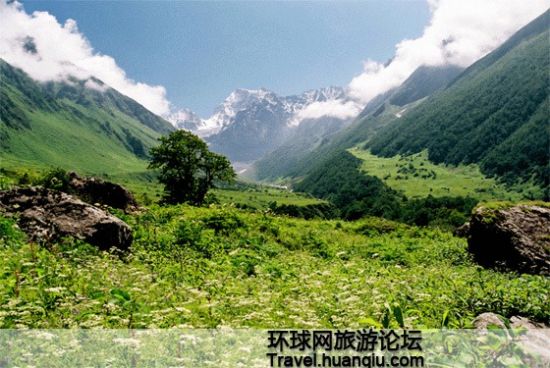 娇艳欲滴 娇艳欲滴