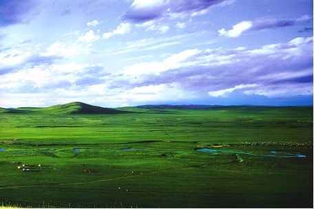 美丽的西乌珠穆沁草原 美丽的西乌珠穆沁草原