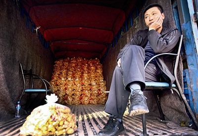 生姜批发价一年下降75% 收购价跌破种植成本