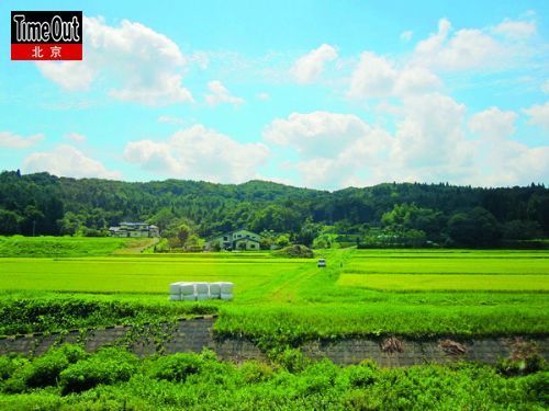 原野 原野