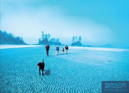 海边漫步 海边漫步