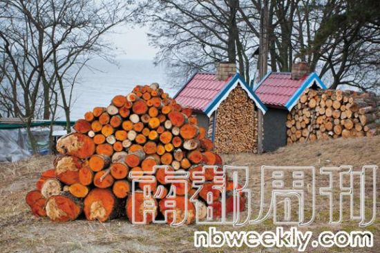 圆滚滚的木柴 圆滚滚的木柴