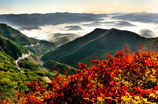六盘山森林公园全景 六盘山森林公园全景