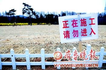 青岛汇泉广场曾是跑马场,现在草坪被翻新。 青岛汇泉广场曾是跑马场,现在草坪被翻新。