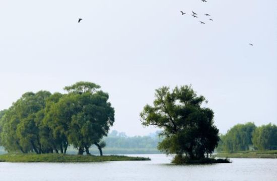 通州致力打造以“城中湿地”为特色的水绿交融的新城园林游憩区 通州致力打造以“城中湿地”为特色的水绿交融的新城园林游憩区