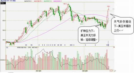 玉米震荡趋涨重心逐步上移