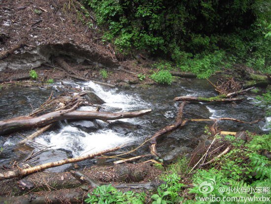 小伙伴小笨熊新浪机构认证:#好玩的地方# 黑龙江省的凤凰山不仅有美丽的瀑布,还有那夏日里也不会融化的积雪,仿佛在讲述着千年不化的慈爱。 小伙伴小笨熊新浪机构认证:#好玩的地方# 黑龙江省的凤凰山不仅有美丽的瀑布,还有那夏日里也不会融化的积雪,仿佛在讲述着千年不化的慈爱。