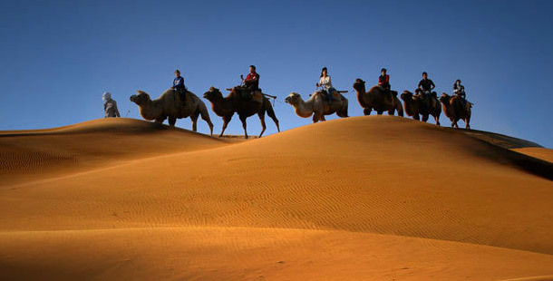 塞上江南 神奇宁夏_专题_新浪城市