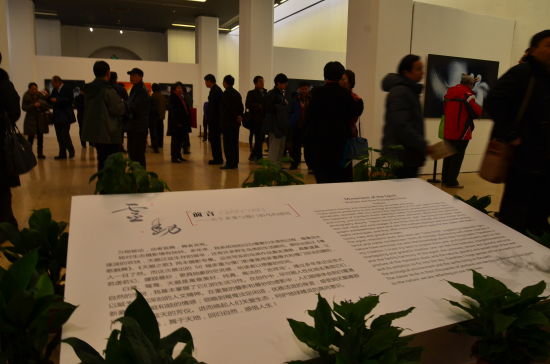 摄影作品展现场 摄影作品展现场