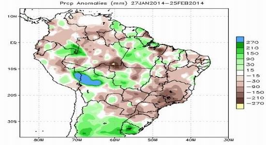 中期(月报):市场动能不足连豆期价回调|大豆|方