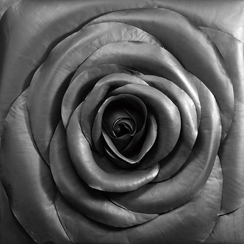 蔡志松 玫瑰(1/1) 铅皮 40×40×5cm 2010年