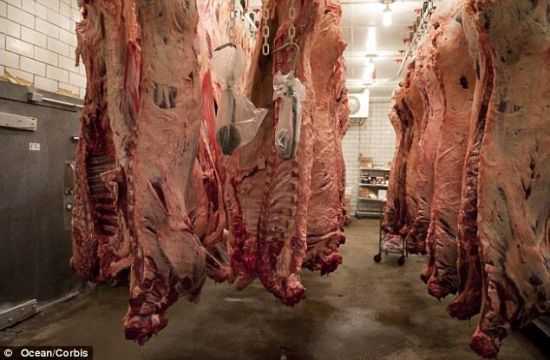 　患病动物没经过完整检查，870万问题牛肉被召回