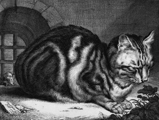 Cornelis VisscherThe Large Cat1657 Ӣ @britishmuseum