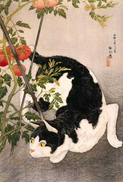 ͤźBlack cat and tomato plant with key block1931 ˹ @MFAH