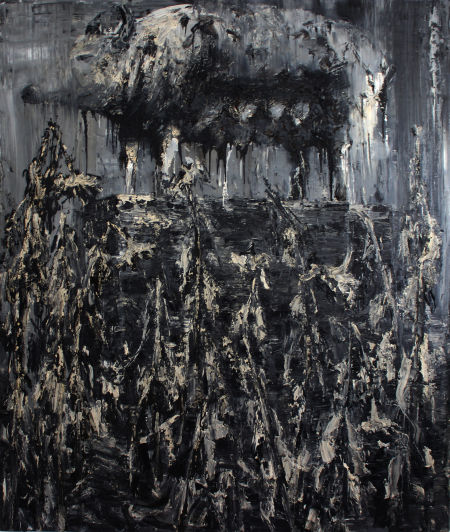  200X170cm 2012 ͻ