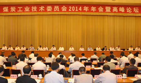 王显政在会上讲话