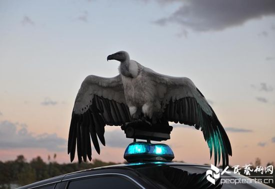 3ʹ֯Ӵ(River of Fundament)ޡ(Matthew Barney)