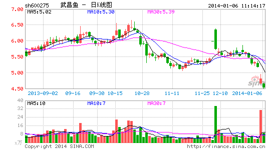 监管层不欢迎借壳上市 武昌鱼重组折戟会后事