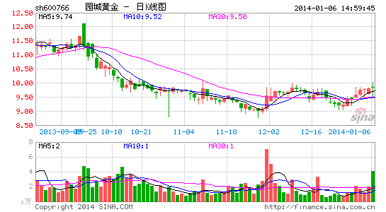 园城黄金董事长徐诚惠因个人原因辞职|董事长