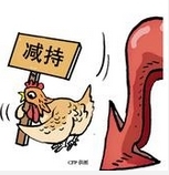 7·28ҹ˾֤֪ͨ