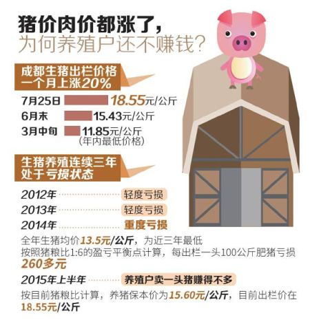 成都猪价4个月涨五成 养猪场连亏三年求解套 制图刘逸兴