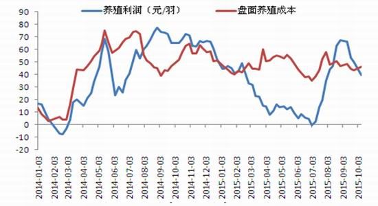 南华期货:鸡蛋投资机会分析