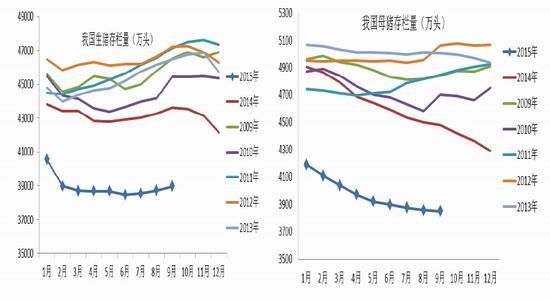 广发期货：玉米供应宽松下的操作策略