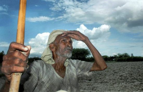 为防农民自杀 印度政府批准13亿美元保险计划