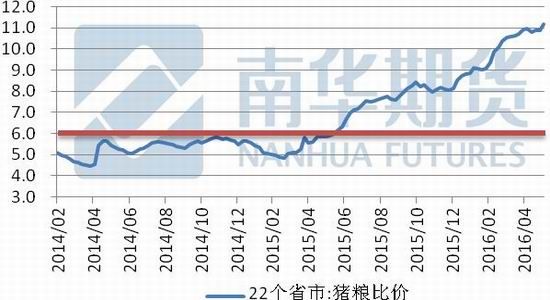 南华期货：玉米波动不大