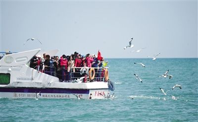 青海文化旅游节精彩活动抢先看 青海文化旅游节精彩活动抢先看