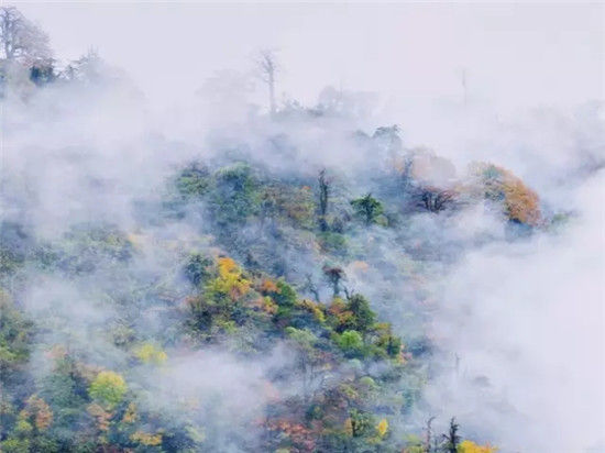 彝良县 彝良县