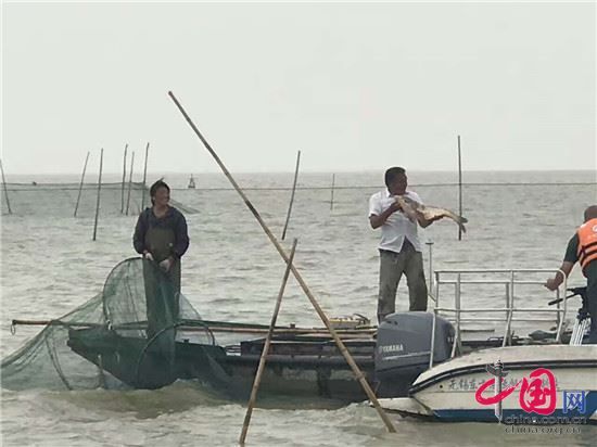 洪泽湖开捕仪式 洪泽湖开捕仪式