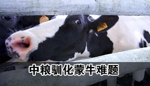 ����ѱ����ţ���⣺��������޴����