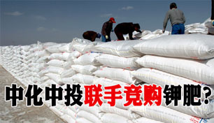 �л�������Ͷ����Potash����