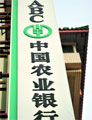 ũ������д����������