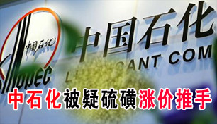 ��ʯ����������Ǽ�Ļ������ 